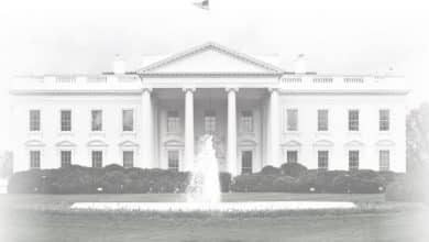 Photo of Bangladeshi Zayn in White House