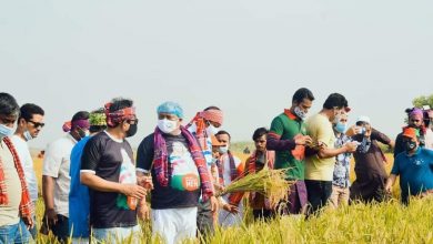 Photo of Swechasebak League cooperates in harvesting