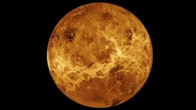 Photo of Nasa announces Venus mission