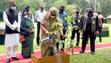 Photo of PM inaugarates tree plantation