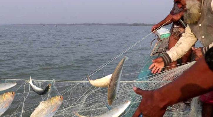 Hilsa catching starts from midnight