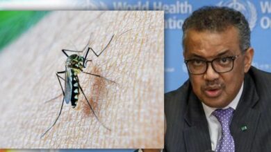 Photo of World First Malaria Vaccine ‘Mosquirix’ Approved by W.H.O.