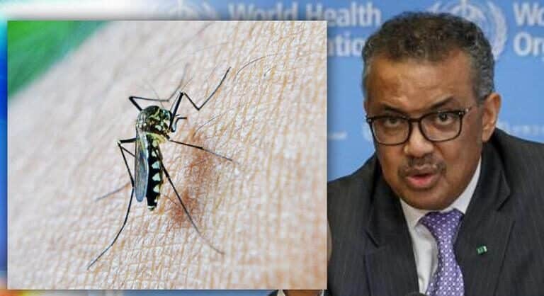 World First Malaria Vaccine 'Mosquirix' Approved by W.H.O.