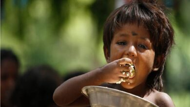 Photo of World food day today