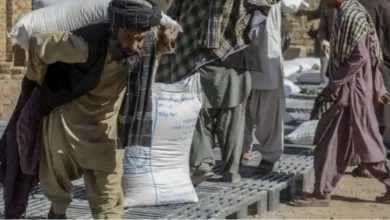Photo of Taliban launches Work-in-Trade Program for wheat in Kabul
