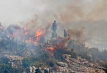 Photo of Syria Executes 24 People for Setting Wildfires