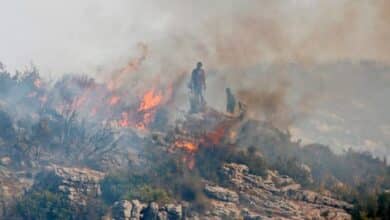 Photo of Syria Executes 24 People for Setting Wildfires