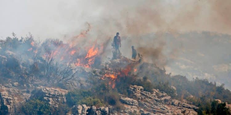 Syria executes 24 charged with lighting wildfires last year