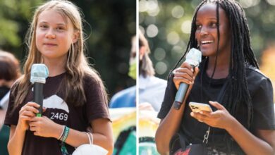 Photo of An Open Letter to the Global Media by Greta Thunberg and Vanessa Nakate