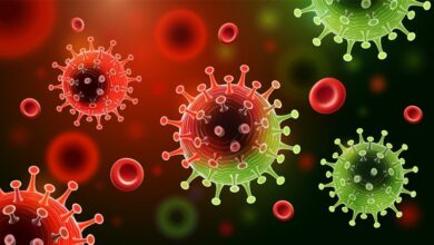 Photo of WHO designates new coronavirus strain as ‘variant of concern’, names it ‘Omicron’