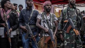 Ethiopia declares state of emergency as conflict escalates