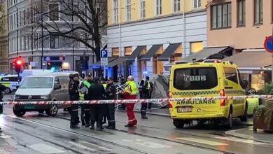 Photo of Man with knife threatens passers-by in Norway, is shot dead (Video)