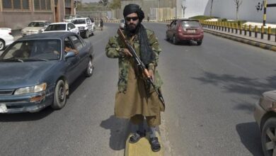 Photo of Doctor killed by Taliban for not stopping at checkpoint