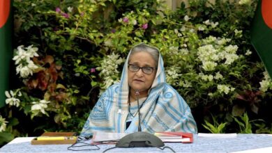 Photo of PM urges all to be vocal again anti-country propaganda