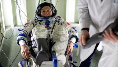 Photo of Russia to send Japanese tycoon to ISS in return to space tourism