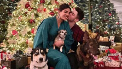 Photo of Priyanka Chopra, Nick Jonas drop picture-perfect Christmas snap: See Photo
