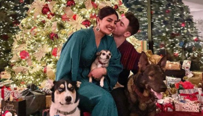 Priyanka Chopra, Nick Jonas drop picture-perfect Christmas snap: See Photo