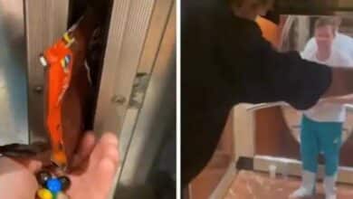 Photo of ’55 minutes I’ll never get back’: Australia’s Smith after hotel lift failure
