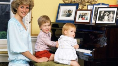 Photo of Prince Harry, William denied grief counselling after Princess Diana’s death