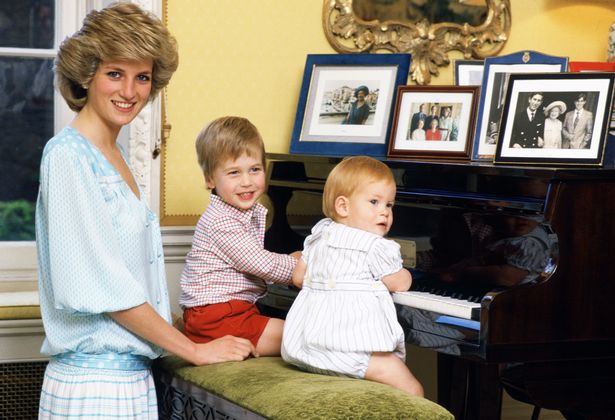 Prince Harry, William denied grief counselling after Princess Diana’s death