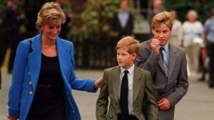 Prince Harry, William denied grief counselling after Princess Diana’s death