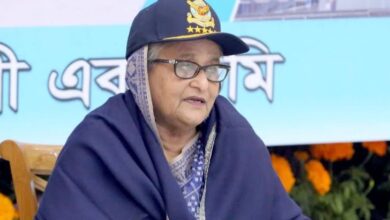 Photo of Govt wants to build air force like developed countries: PM