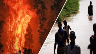 Photo of Australia fights bushfires in west, floods in east