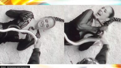 Photo of WATCH | American Singer Gets Bitten By Snake On Set While Shooting; Shocking Video Goes Viral