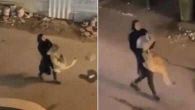 Photo of Watch: Woman walks in town carrying a growling lion cub
