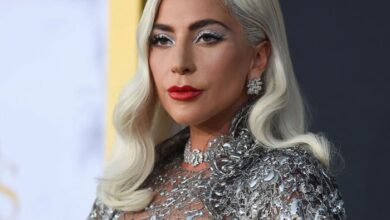 Photo of The truth into Lady Gaga’s dognapping case unveiled