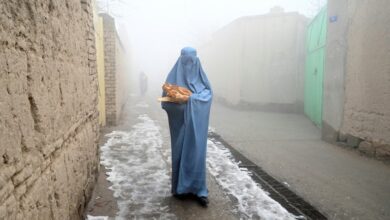 Photo of Taliban PM calls for Muslim nations to recognise Afghan government