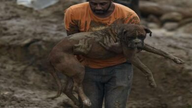 Photo of Death toll rises to 78 from mudslides after storm in Brazil