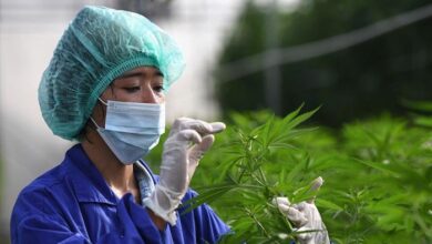 Photo of Mississippi becomes 37th US state to legalise medical marijuana