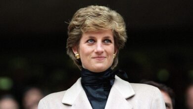 Photo of Diana’s brother, son Harry avoid reacting to Queen’s announcement about Duchess Camilla
