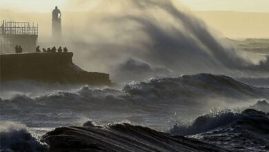 Photo of Seven dead as Storm Eunice batters Europe