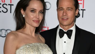 Photo of Pitt sues Jolie over sale of French vineyard where they married