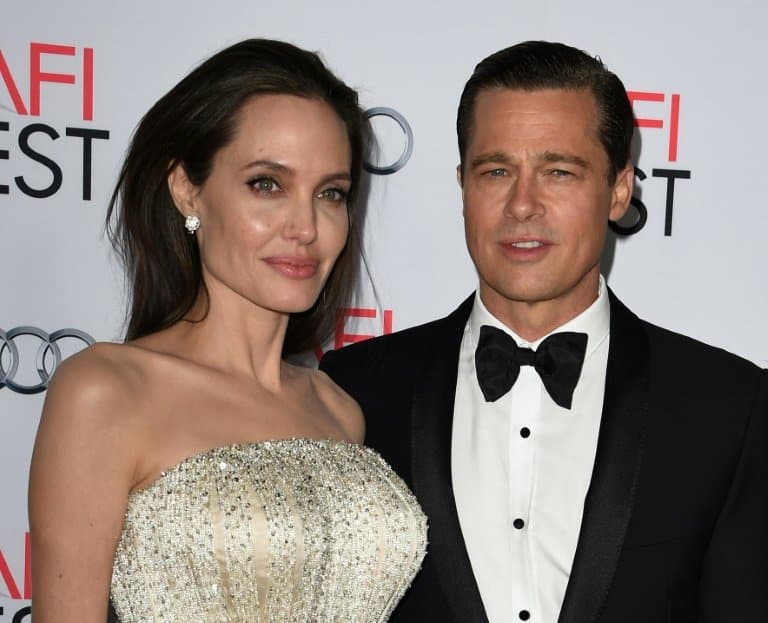 Pitt sues Jolie over sale of French vineyard where they married