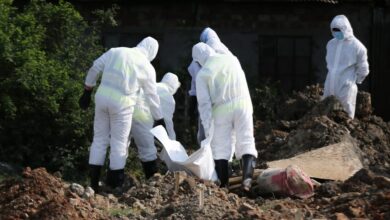 Photo of Last 24 hours 33 people died of Coronavirus