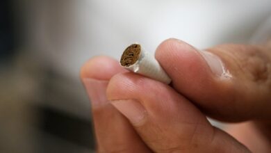 Photo of Swiss vote on banning tobacco advertising, animal testing
