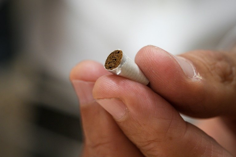 Swiss vote on banning tobacco advertising, animal testing