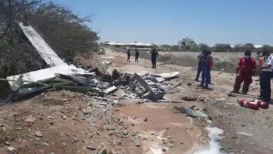 Photo of Seven dead as tourist plane crashes near Peru’s Nazca lines: ministry