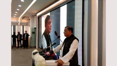 Photo of Country would go ahead more, if anti-state propagandas were not carried out: Information Minister