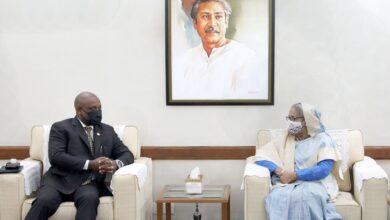 Photo of D-8 can emerge as powerful economic block: PM