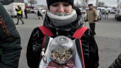 Photo of Ukraine refugees flee with pets in tow