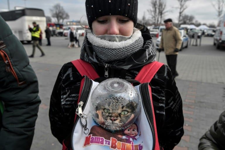 Ukraine refugees flee with pets in tow