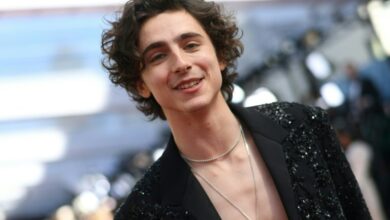 Photo of Stars shimmer on Oscars red carpet once again