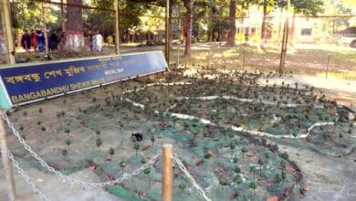 Photo of Bangabandhu Corner at Dulahazara Safari Park will be state-of-the-art