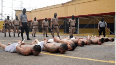 Photo of Gangsters shoved inside horror jail due to multiple murders in prison