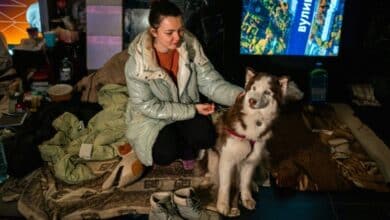 Photo of War forces Kyiv mums to raise kids deep underground