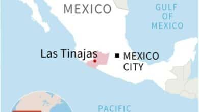 Photo of 19 killed in shooting in central Mexico